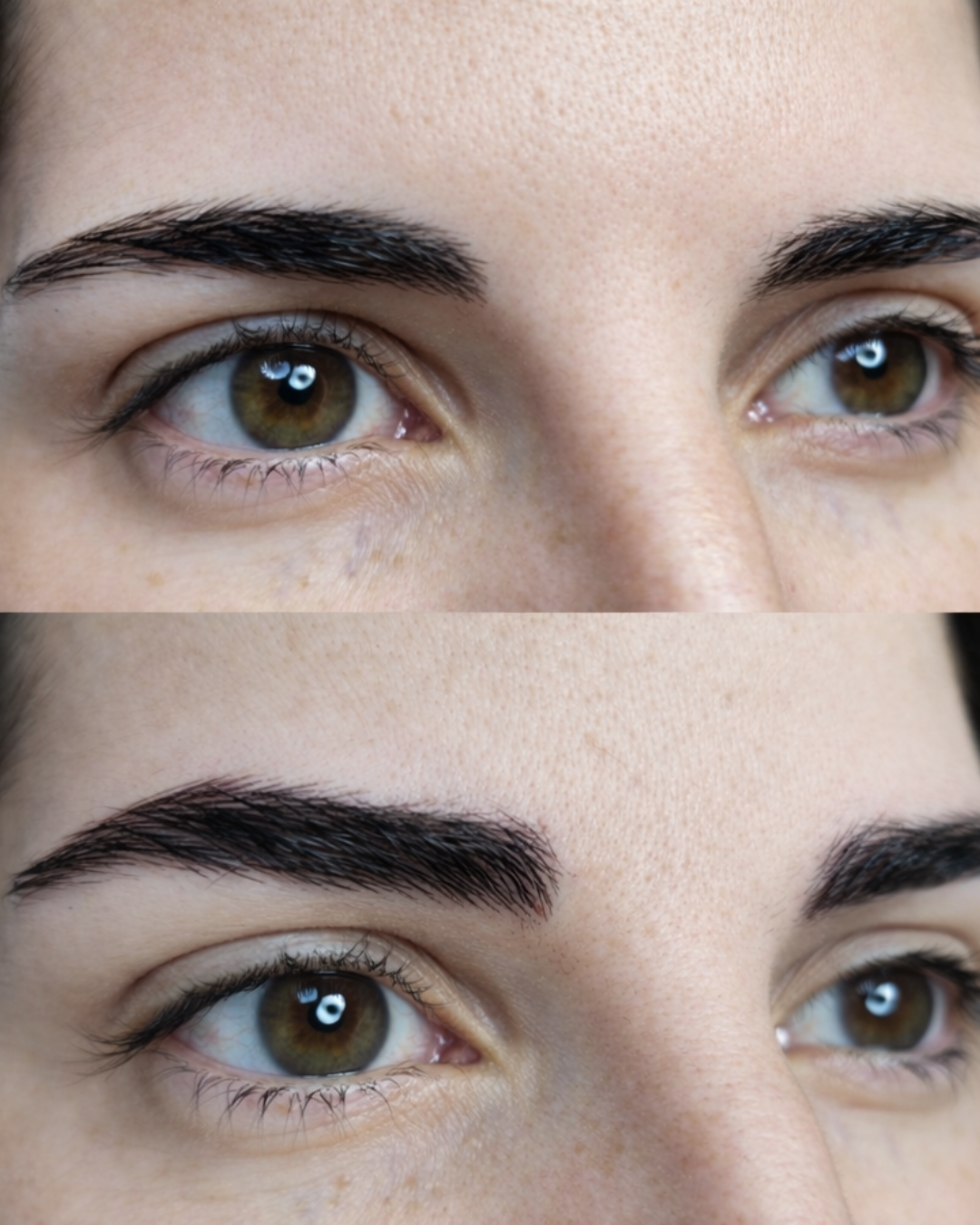 CEJAS PROREAL