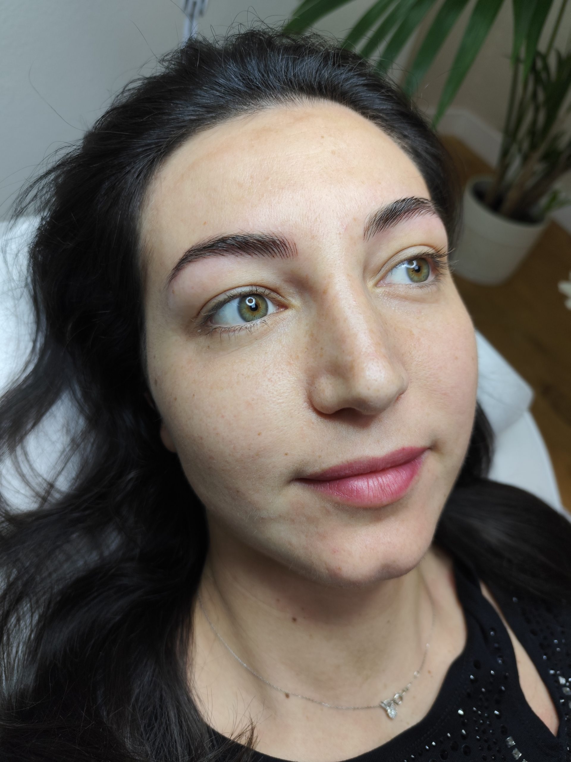 Cejas ProReal