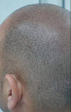 captura de pantalla 2026 02 10 110819